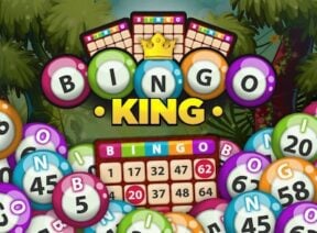 bingo-king-game-icon